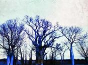 Reseña: Mañana, muerte blanca John Marsden