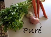 Puré depurativo choque