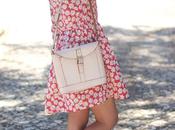 Daisies
