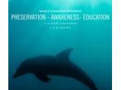 Preservation awareness education