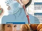 Importancia Serotonina