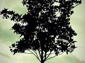 Androidografia Barakaldo CDXLVII. Arbol