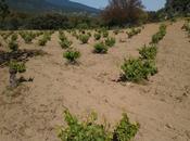 tierras Ávila, parte