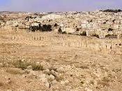 Egipto noticias: Descubren ruinas ciudad época grecorromana