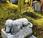Emotivos epitafios cementerio mascotas