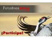 Concurso FotoAves 2014 SEO/BirdLife