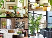 DECO&amp;Plantas