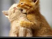 momento perfecto existe