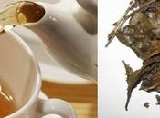 verde múltiples beneficios