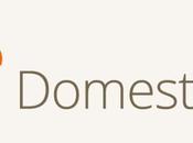 Domesting, servicio limpieza domicilio llega España