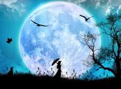 últimos pronosticos....llega Copa