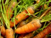 ¿Qué pasa zanahorias? Problemas hojas