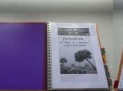 importancia visionado portfolios: experiencia Descubrimientos PHE14