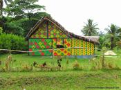 Vanuatu; explorando Isla Éfaté