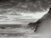 Algunos animales plantas litoral europeo