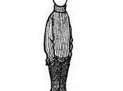 Quino Mafalda desde "Continuará"