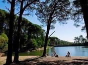 Seminario "CONSERVACIÓN SUSTENTABLE PATRIMONIO NATURAL. Ciencia Tecnología"