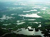 Jornada sobre restauración ecológica humedales.