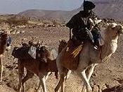 Transporte