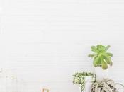 Campanas mimbre. Delicadeza sobre mesa