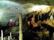 Publicaciones recibidas: Espeleo