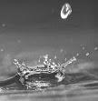 gota