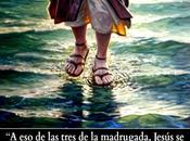 Jesús Llega Tormenta