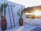 relax formentera