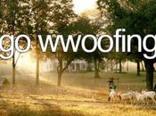 WWOOFING: manera alternativa viajar.