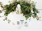 DIY, Macetero forma gato