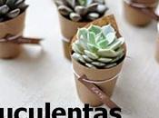 Suculentas