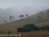 Observando aves Parque provincial Ing. Crovetto