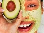 cosas debes saber sobre palta