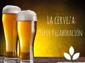 cerveza: Tipos elaboración