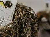 Hotel Restaurante Demba Abizanda (Huesca)