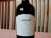 Ventisquero Queulat Gran Reserva Syrah 2010