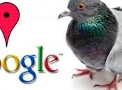 Algoritmo Google Pigeon: cambios trae