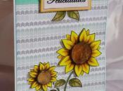 Tarjetas