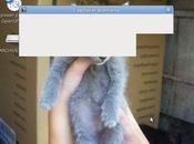 Historia cómo empecé usar linux