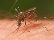 Evitar picadura mosquitos mientras pedaleamos