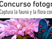 Primera edición concurso fotográfico ‘CLICKFauna iFlora’(España)