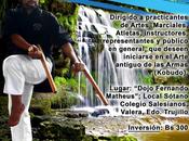 Seminario kobudo venezuela