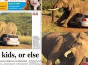 Elefante rasca carro turistas: portadas curiosas