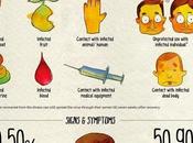 Alerta virus Ébola #Infografía #Salud #Ebola