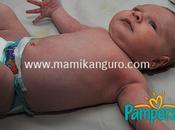 Pampers Premium Care