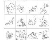 Características desarrollo seres vivos: Grado