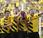 Dortmund lleva Supercopa Alemania