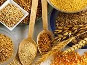 Cereales grano entero, fuente proteína, minerales vitaminas