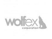 Wolfex, dirección financiera para pymes startups