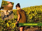 Eguzkilore